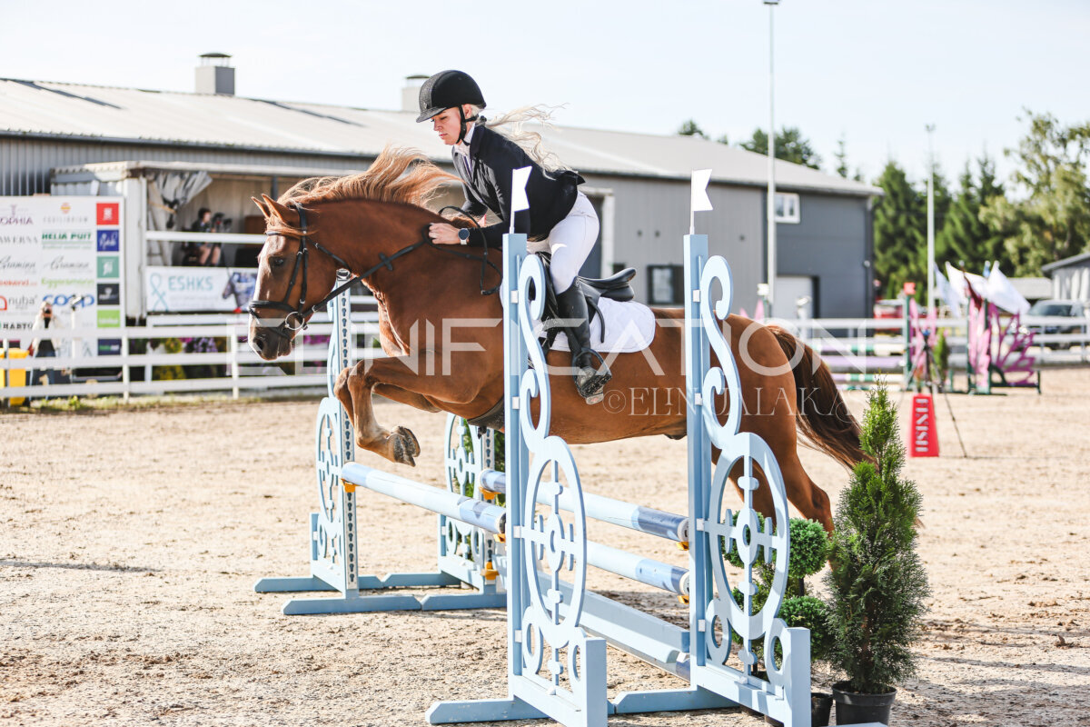 NHTS_2026_1_hc65-75cm_220