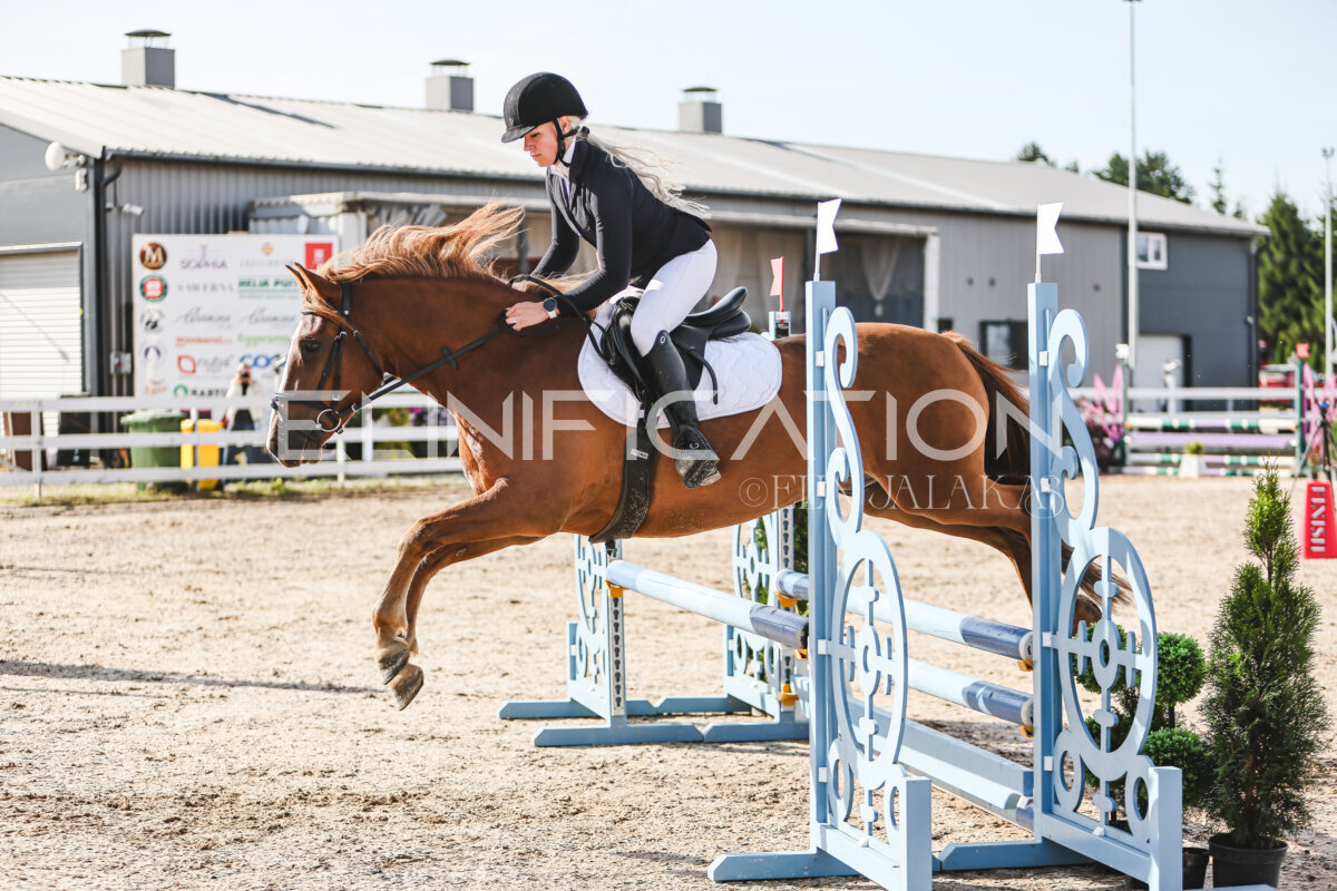 NHTS_2026_1_hc65-75cm_222