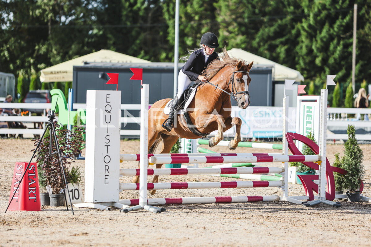 NHTS_2026_1_hc65-75cm_223