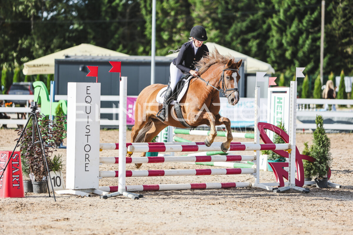 NHTS_2026_1_hc65-75cm_224
