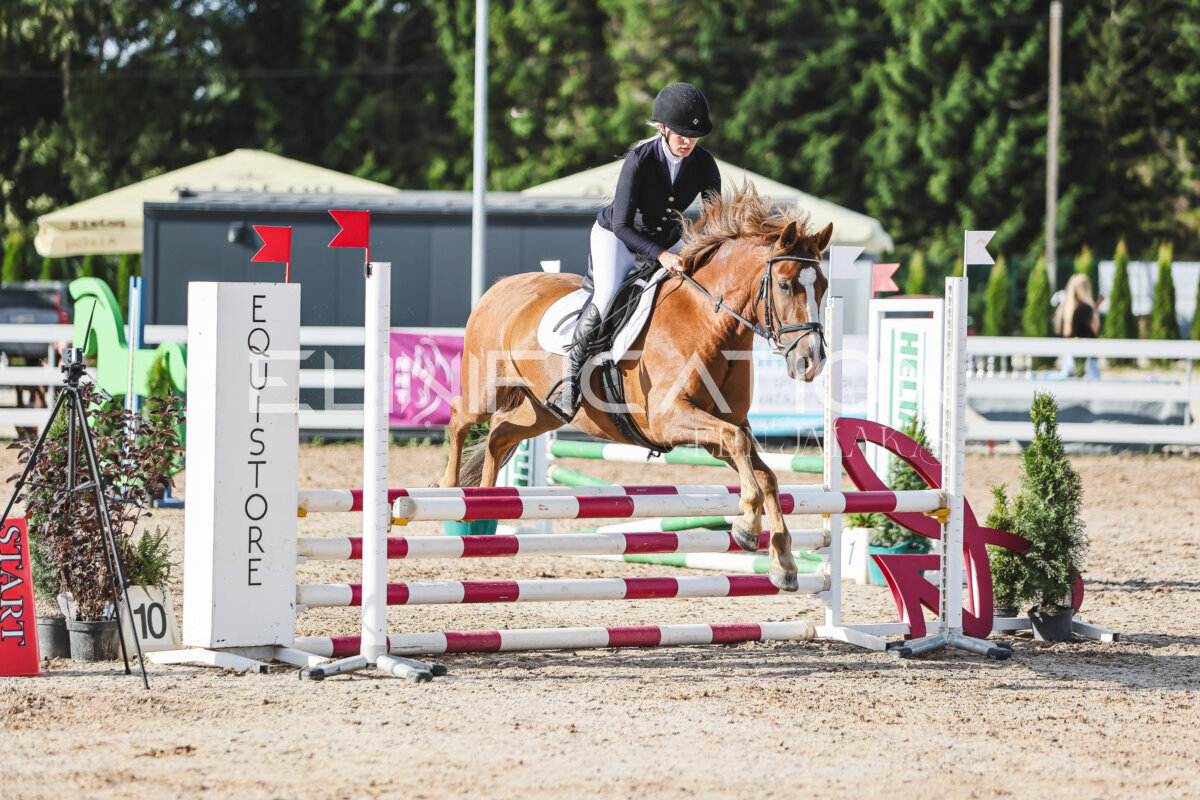 NHTS_2026_1_hc65-75cm_225