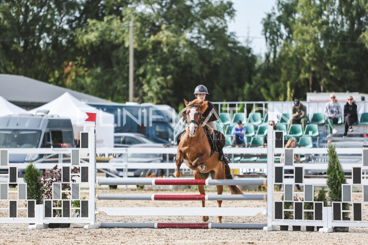 NHTS_2026_2_hc75-85cm_01