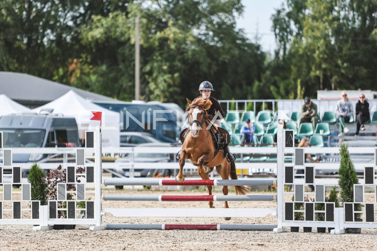 NHTS_2026_2_hc75-85cm_02
