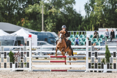 NHTS_2026_2_hc75-85cm_02