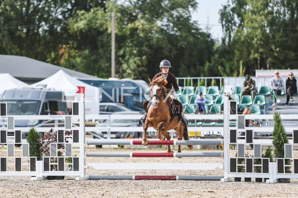 NHTS_2026_2_hc75-85cm_03