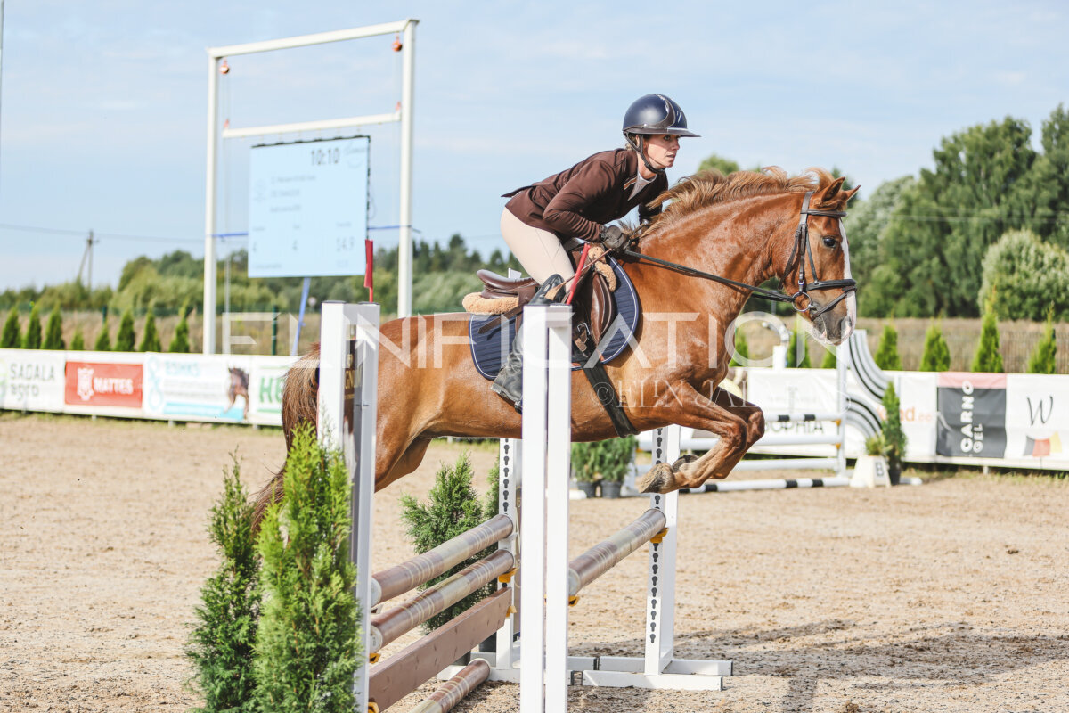 NHTS_2026_2_hc75-85cm_04