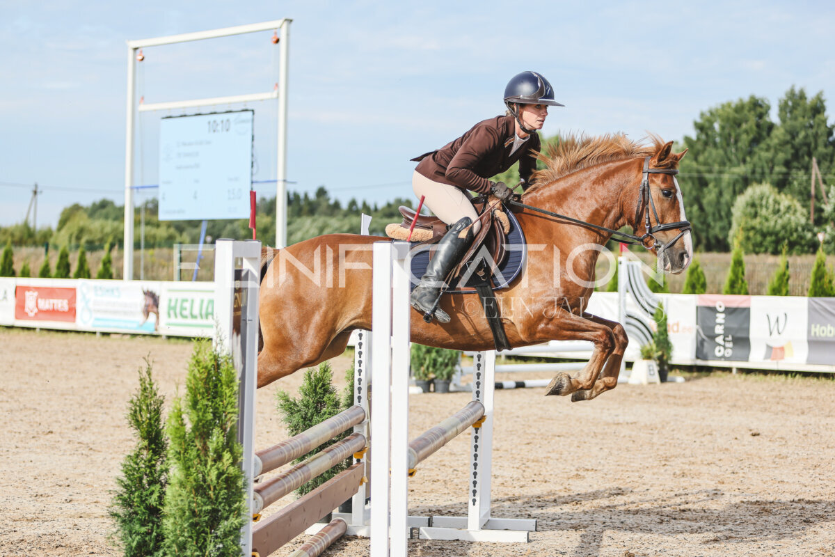 NHTS_2026_2_hc75-85cm_05