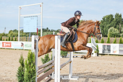NHTS_2026_2_hc75-85cm_05