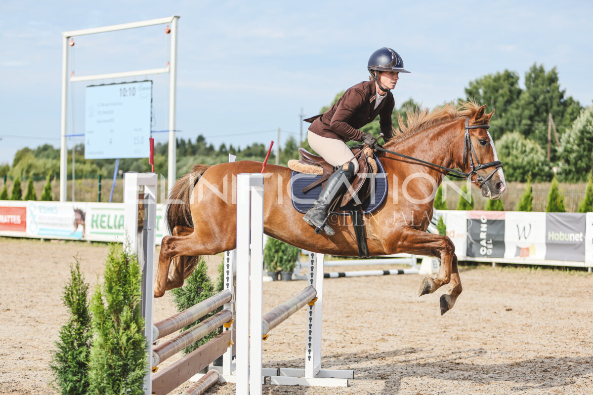 NHTS_2026_2_hc75-85cm_06