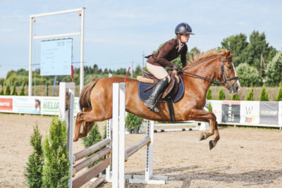 NHTS_2026_2_hc75-85cm_06