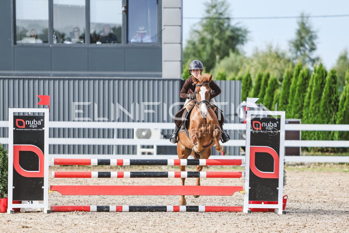 NHTS_2026_2_hc75-85cm_07
