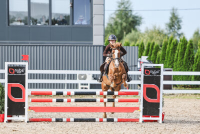 NHTS_2026_2_hc75-85cm_07