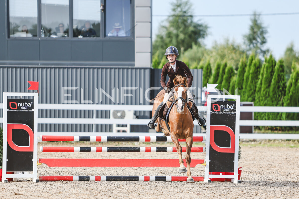 NHTS_2026_2_hc75-85cm_11