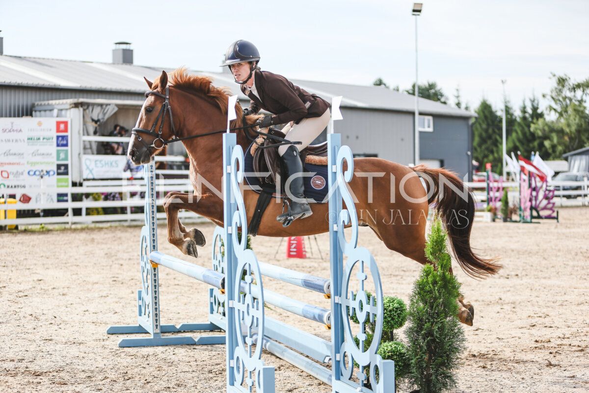 NHTS_2026_2_hc75-85cm_12