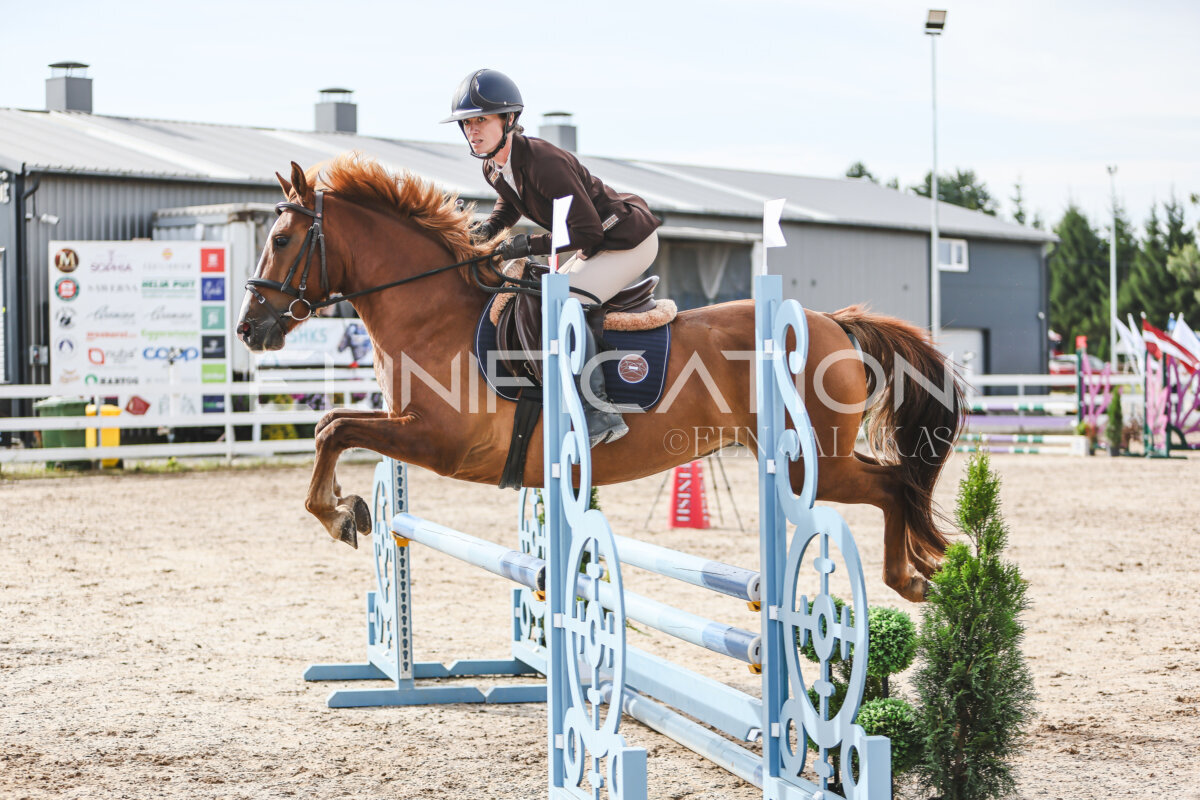 NHTS_2026_2_hc75-85cm_13