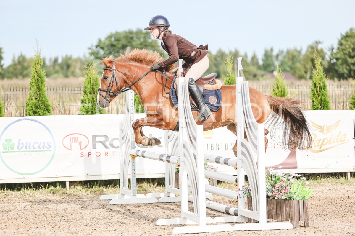 NHTS_2026_2_hc75-85cm_15
