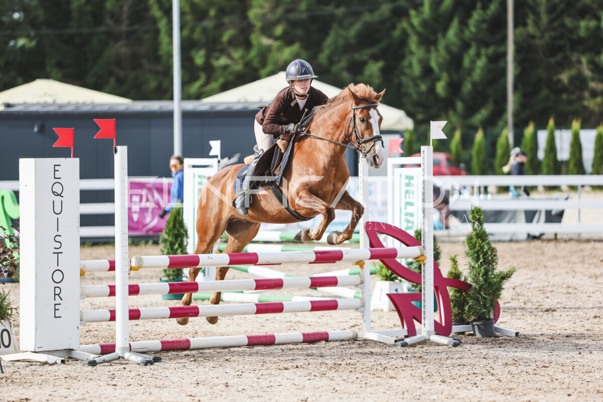 NHTS_2026_2_hc75-85cm_17