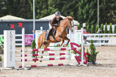 NHTS_2026_2_hc75-85cm_17