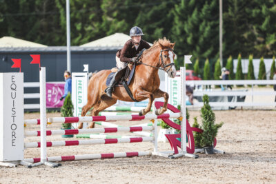 NHTS_2026_2_hc75-85cm_18