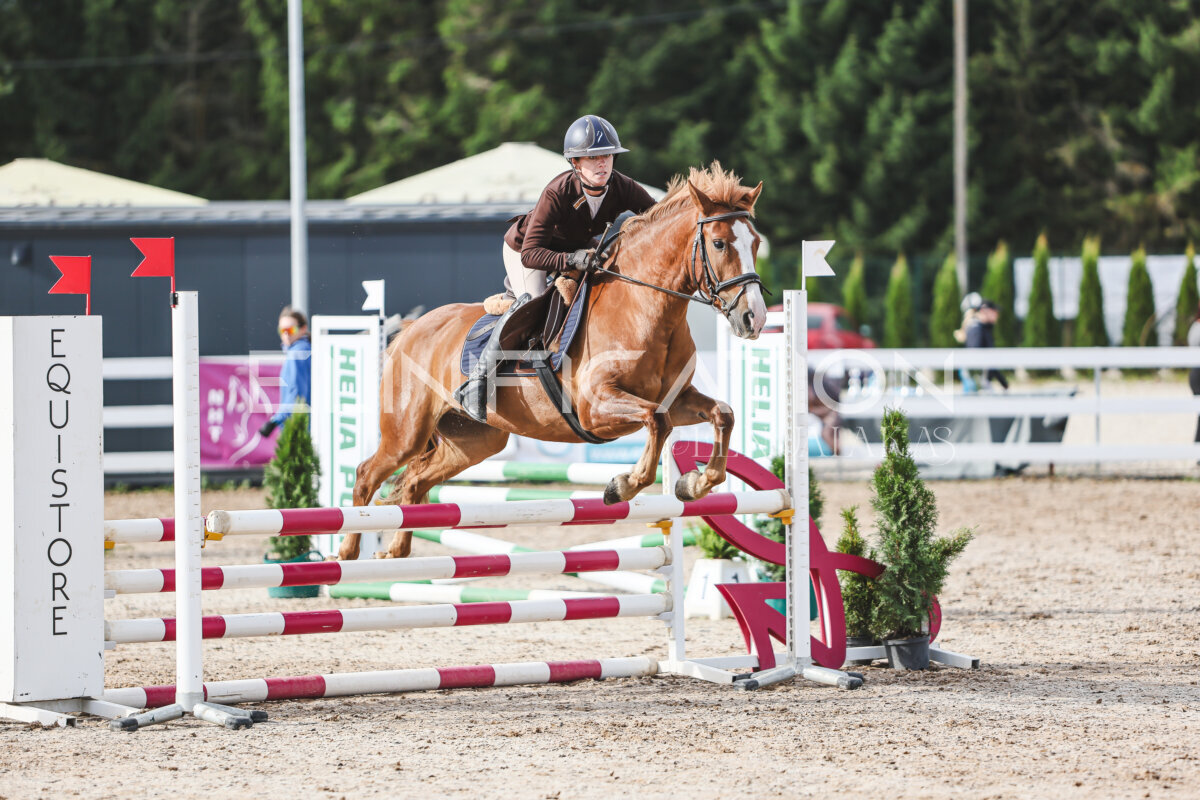 NHTS_2026_2_hc75-85cm_18