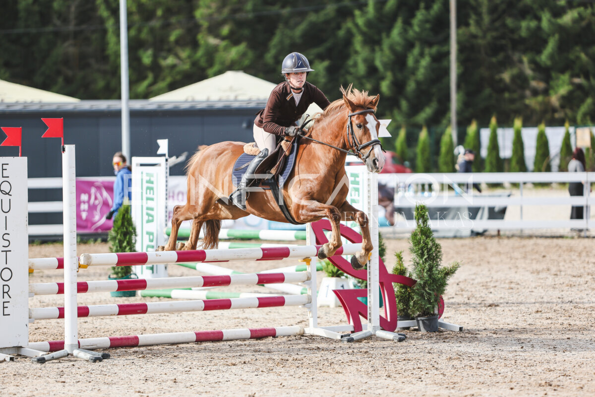 NHTS_2026_2_hc75-85cm_19