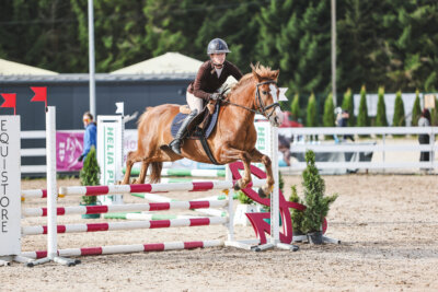 NHTS_2026_2_hc75-85cm_19