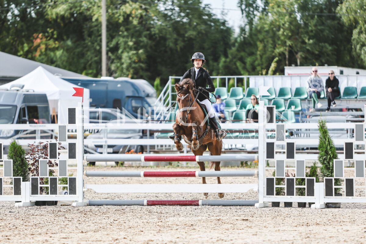 NHTS_2026_2_hc75-85cm_20
