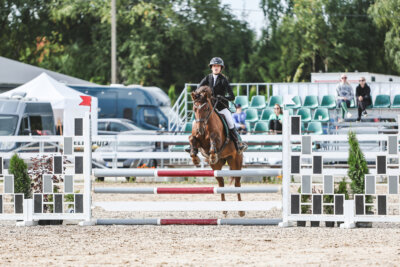 NHTS_2026_2_hc75-85cm_20