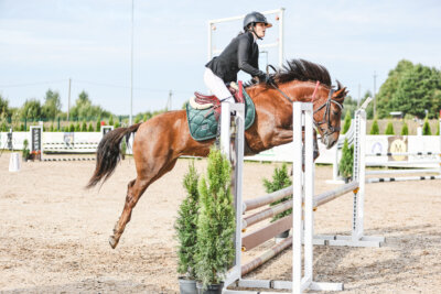 NHTS_2026_2_hc75-85cm_22