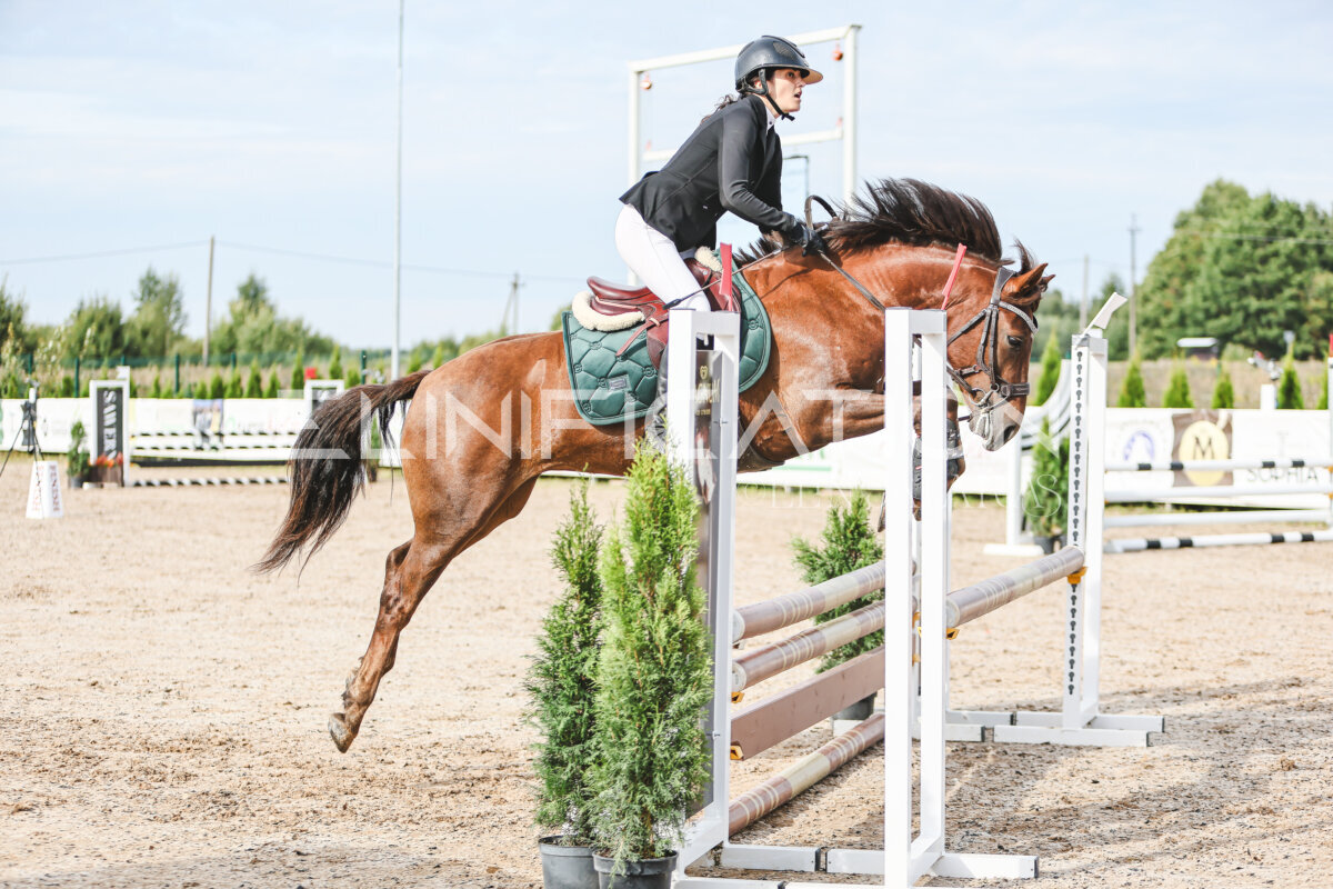 NHTS_2026_2_hc75-85cm_22