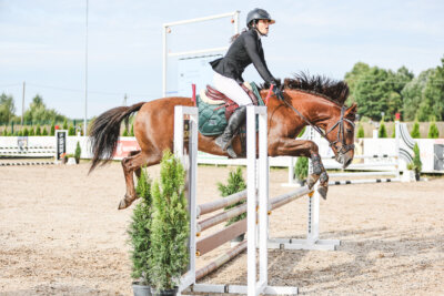 NHTS_2026_2_hc75-85cm_24