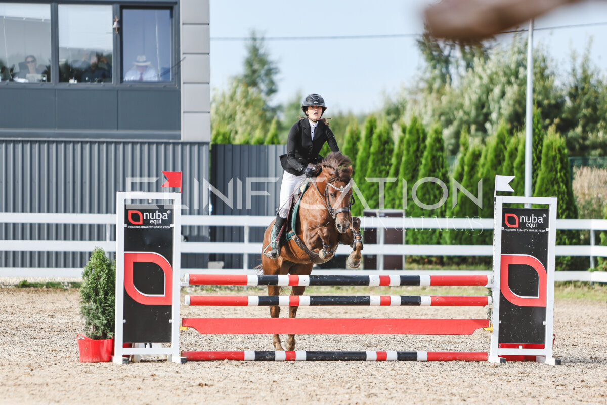 NHTS_2026_2_hc75-85cm_25