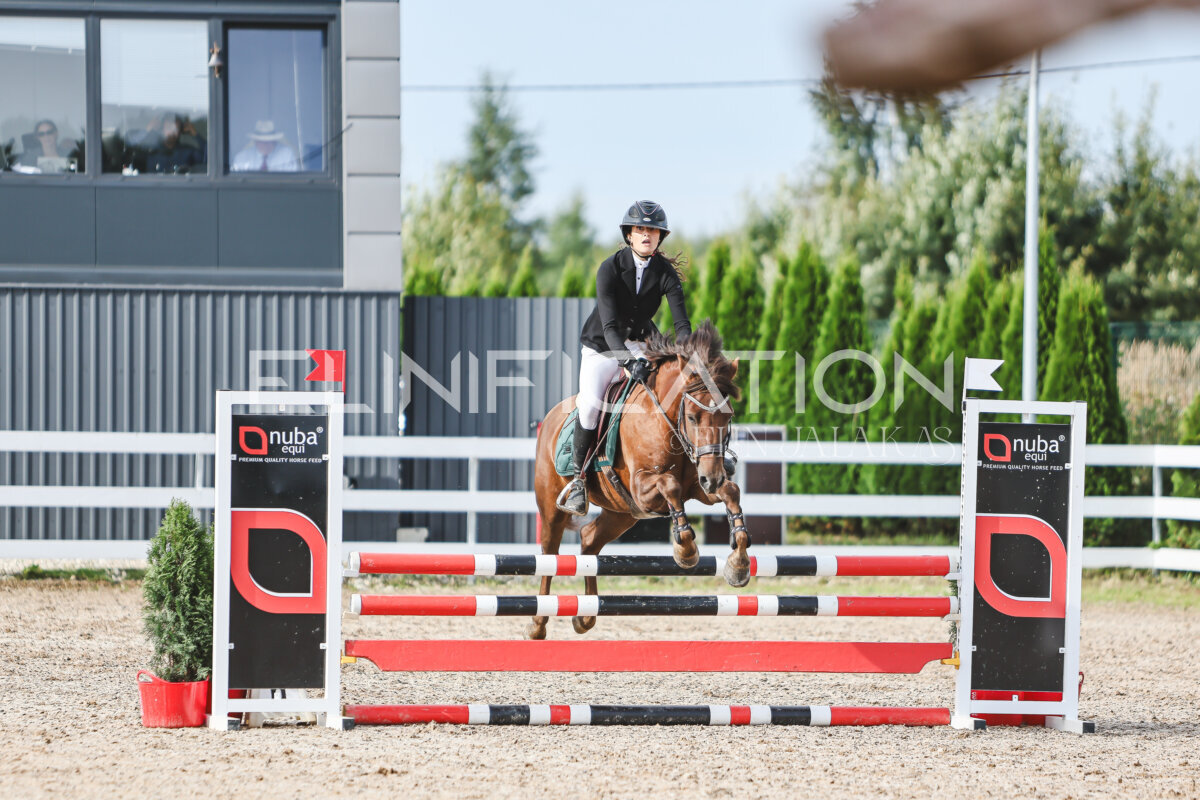 NHTS_2026_2_hc75-85cm_27