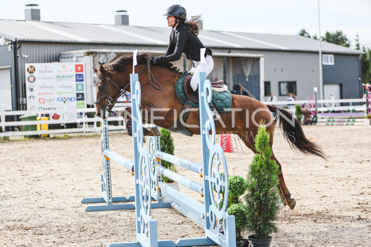 NHTS_2026_2_hc75-85cm_28