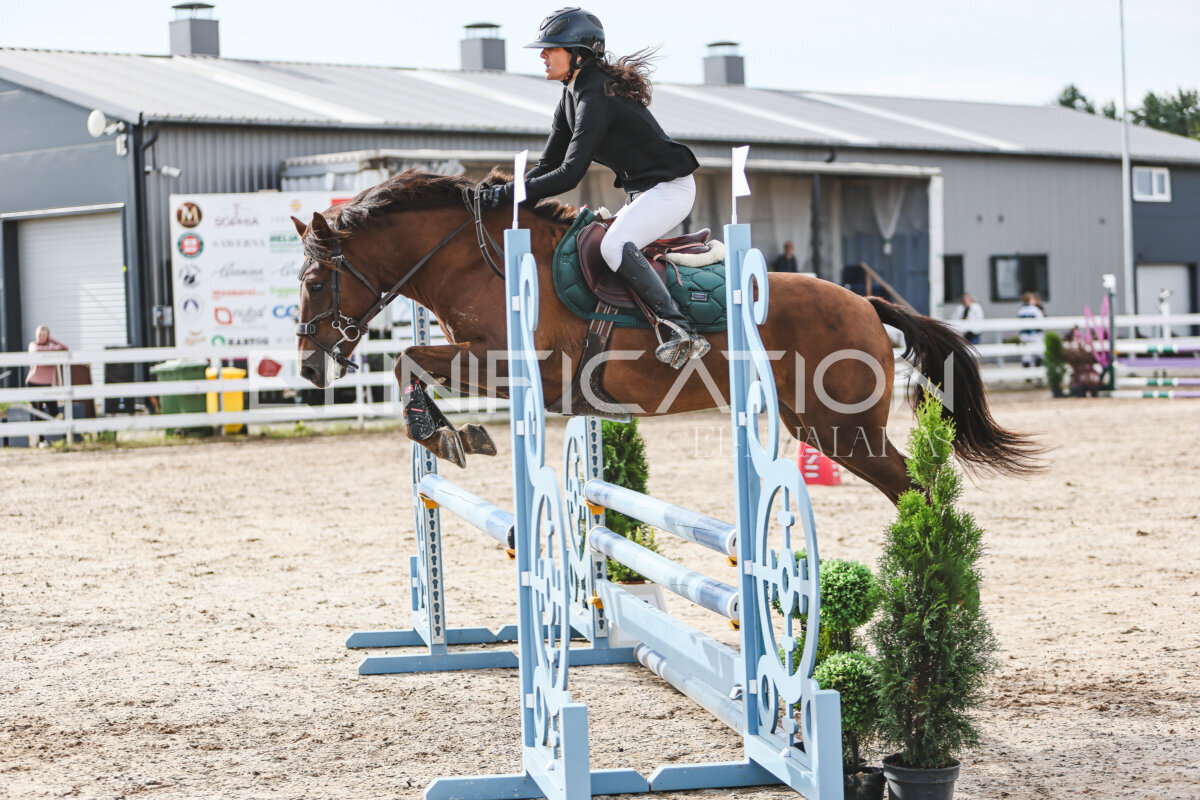 NHTS_2026_2_hc75-85cm_29