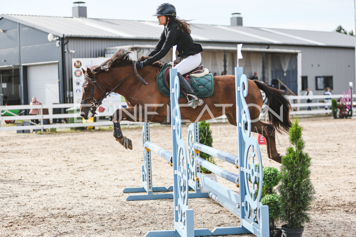 NHTS_2026_2_hc75-85cm_30
