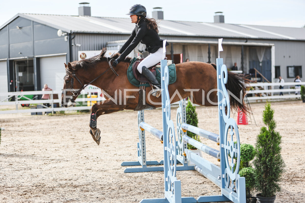 NHTS_2026_2_hc75-85cm_31