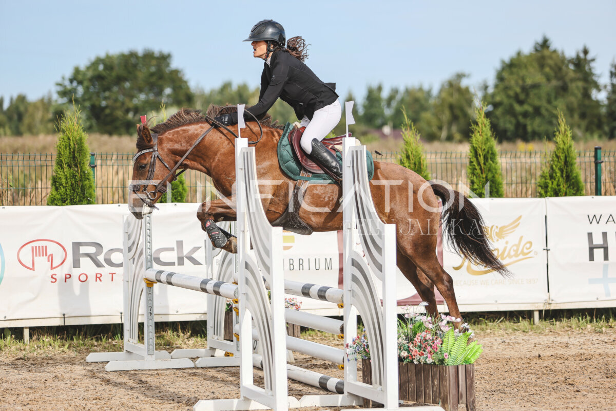 NHTS_2026_2_hc75-85cm_32
