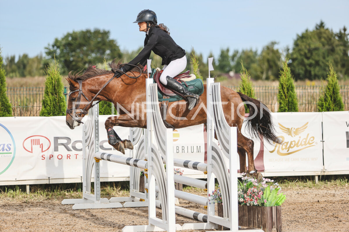 NHTS_2026_2_hc75-85cm_33