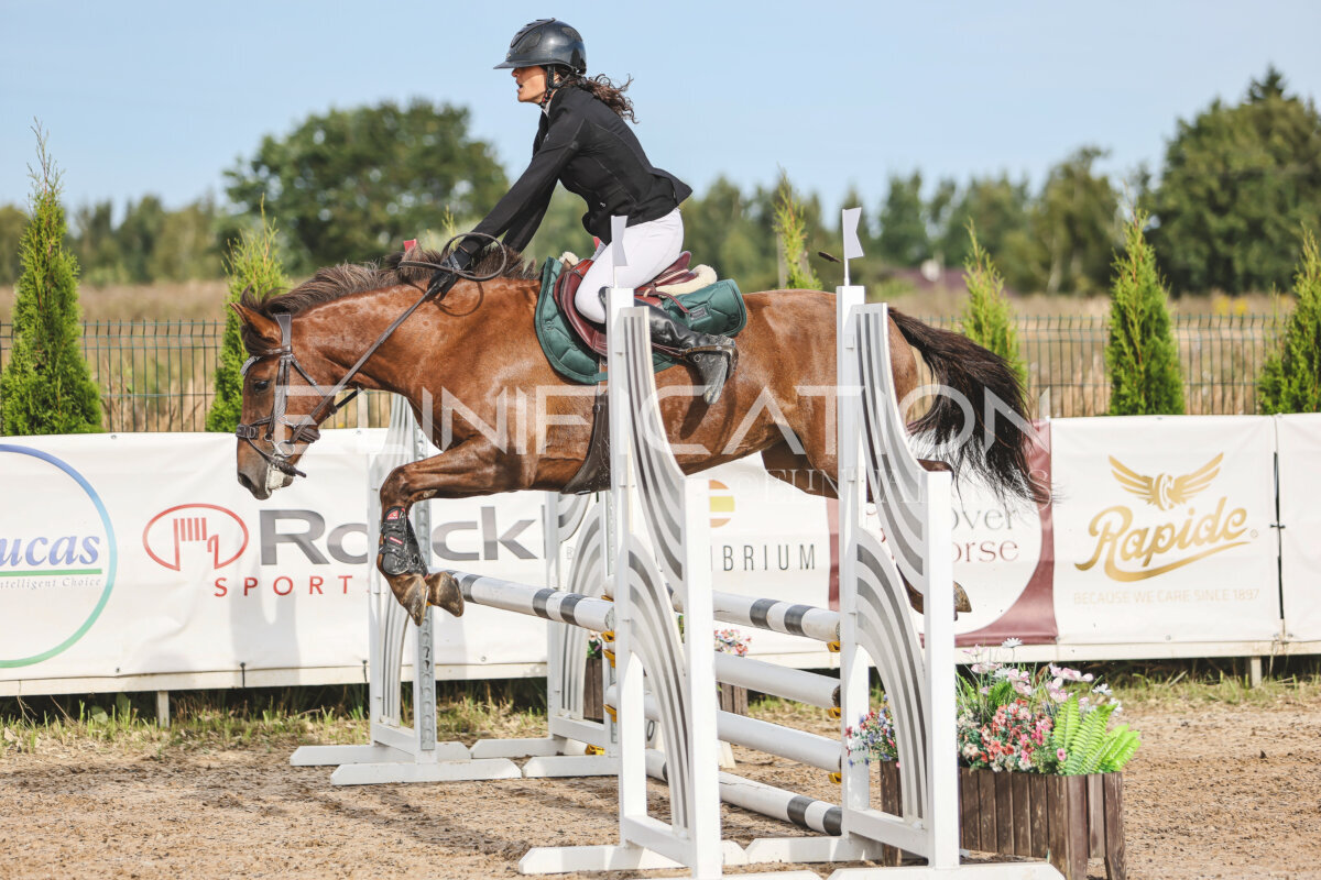 NHTS_2026_2_hc75-85cm_34