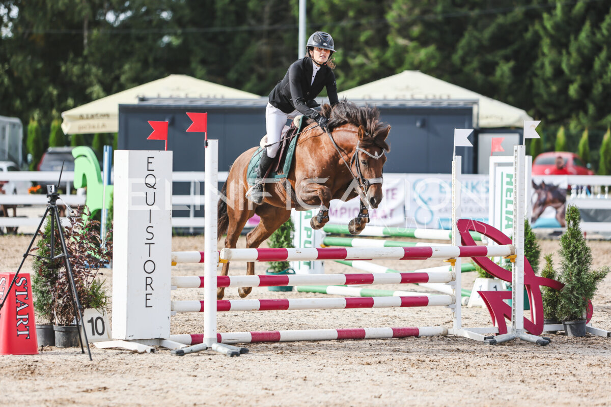 NHTS_2026_2_hc75-85cm_35