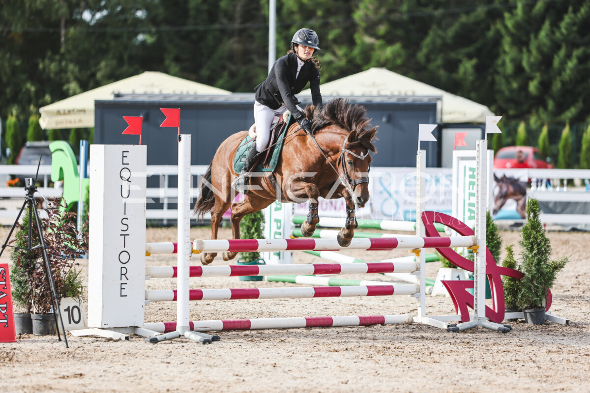 NHTS_2026_2_hc75-85cm_36
