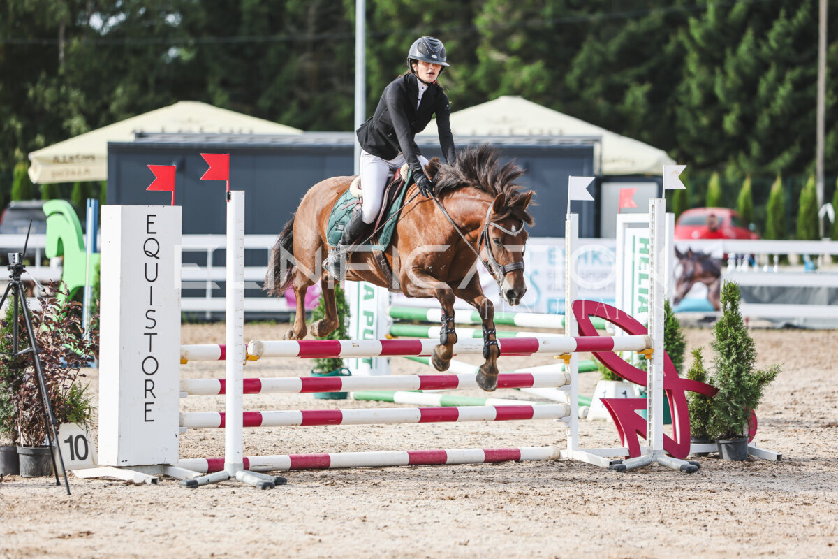 NHTS_2026_2_hc75-85cm_37