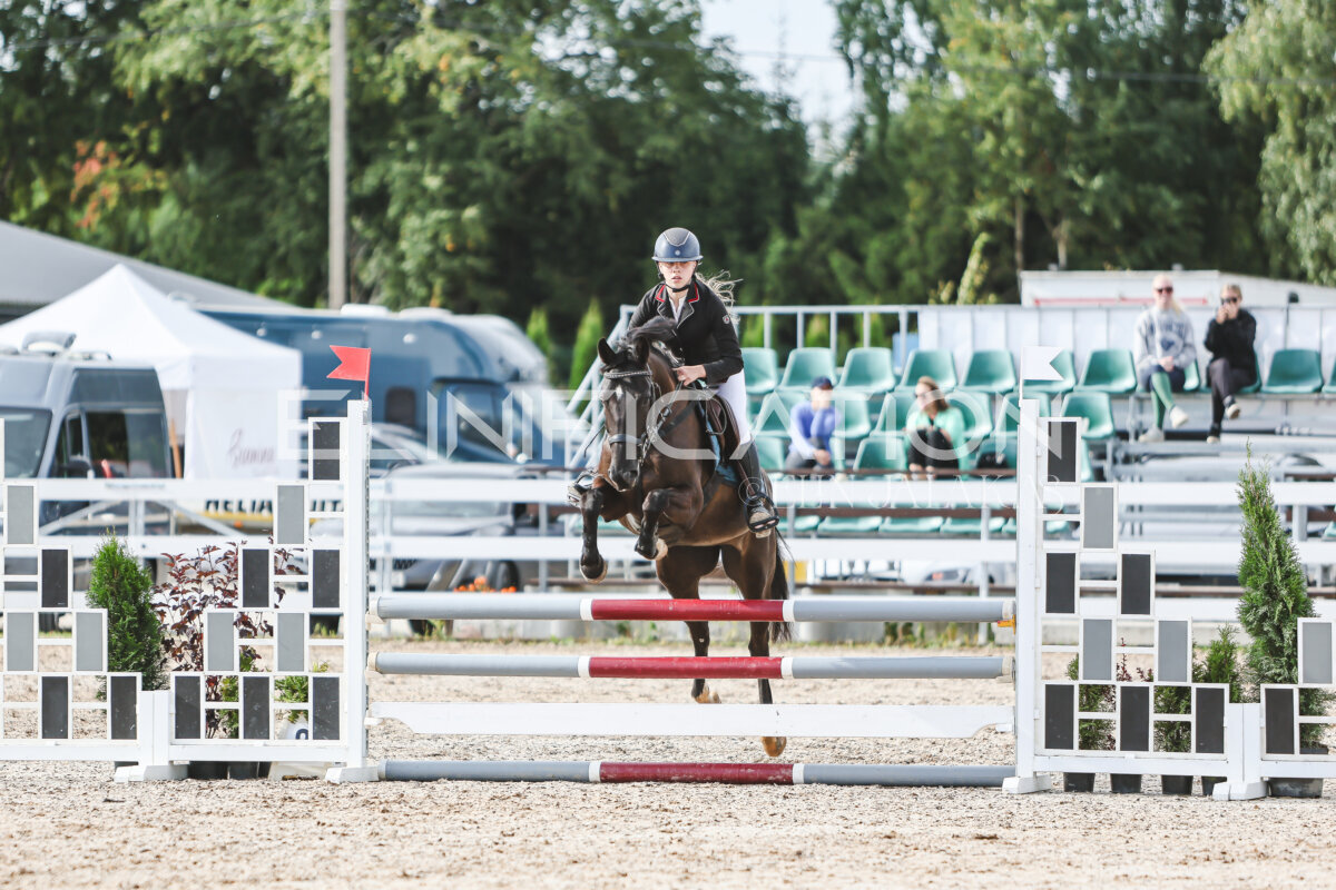 NHTS_2026_2_hc75-85cm_38