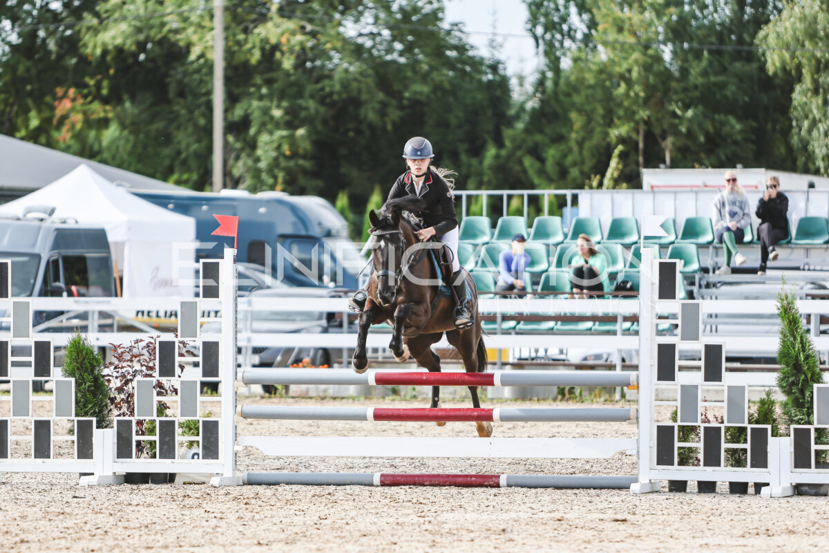 NHTS_2026_2_hc75-85cm_39