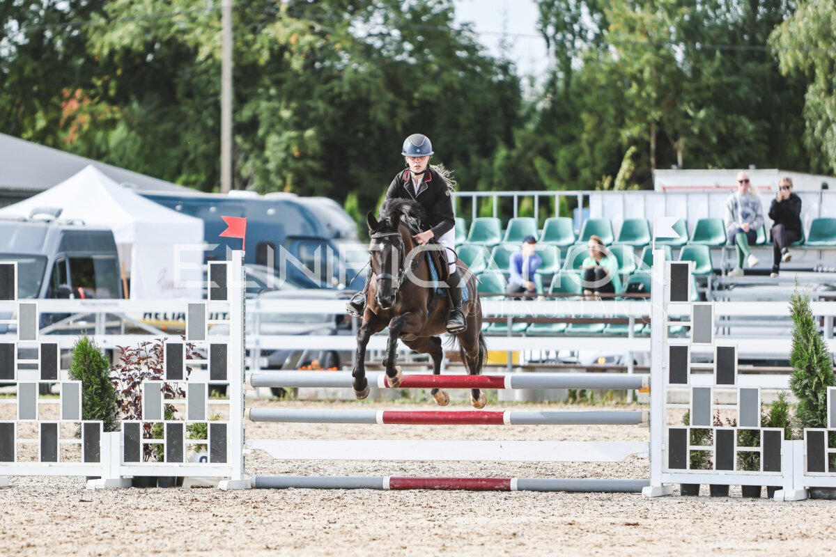 NHTS_2026_2_hc75-85cm_40