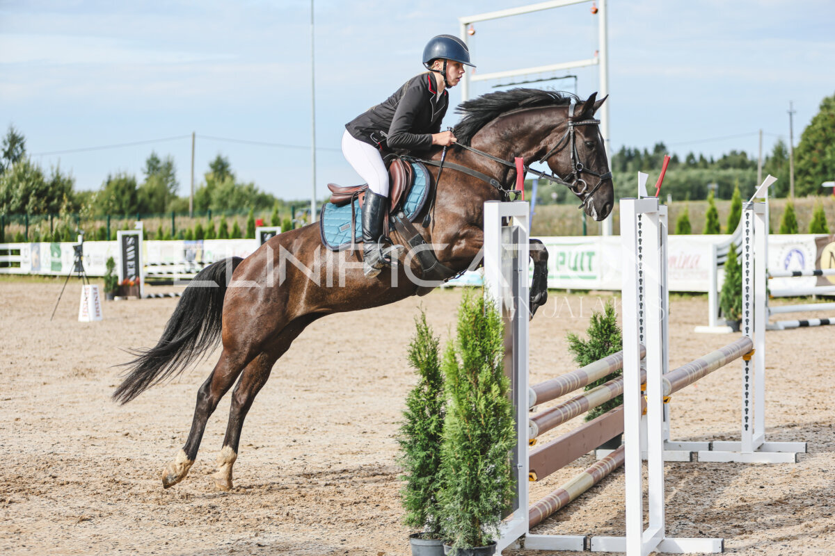 NHTS_2026_2_hc75-85cm_41