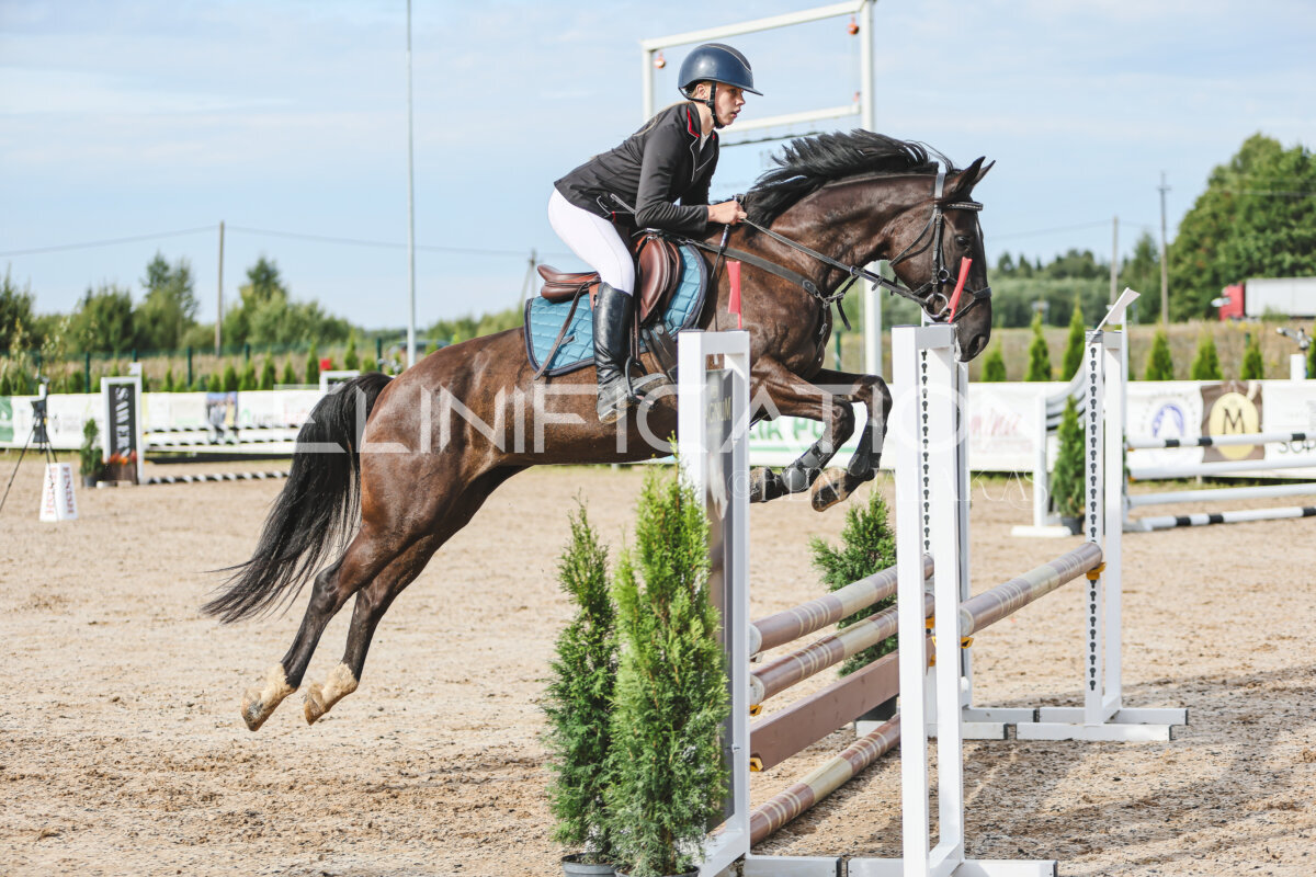 NHTS_2026_2_hc75-85cm_42