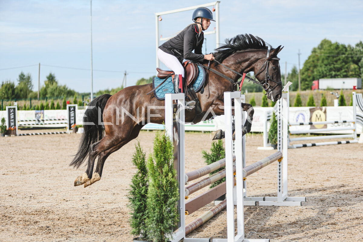 NHTS_2026_2_hc75-85cm_43