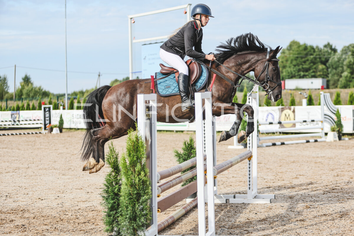 NHTS_2026_2_hc75-85cm_44